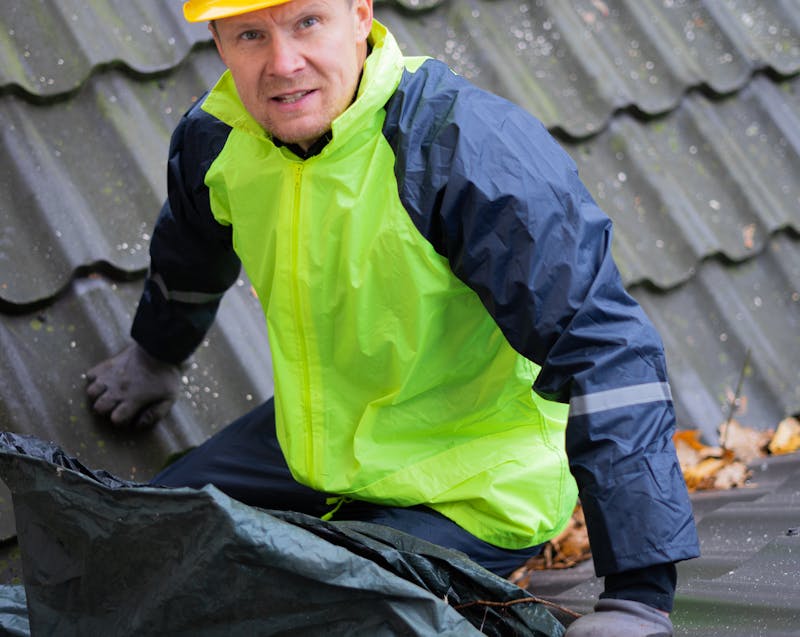 roof gutter cleaning