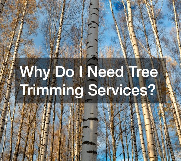 Why Do I Need Tree Trimming Services?