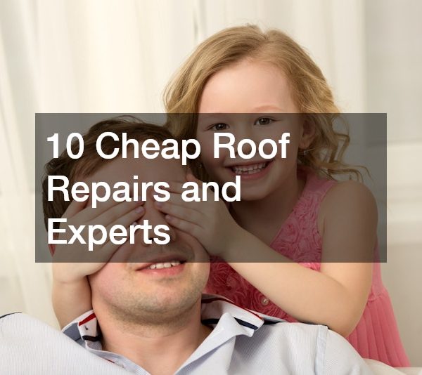 10 Cheap Roof Repairs and Experts