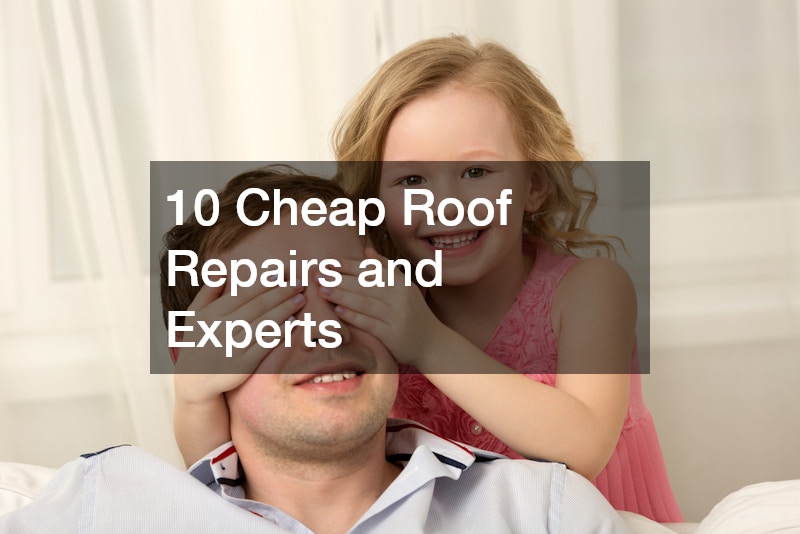 10 Cheap Roof Repairs and Experts