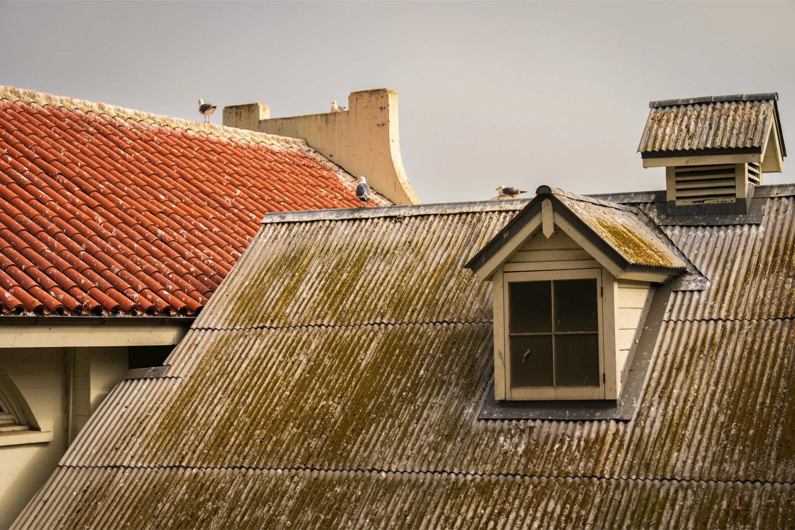 Disadvantages of Metal Roofs: What You Need to Know Before You Buy