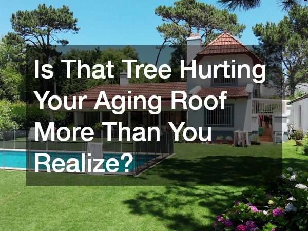 Is That Tree Hurting Your Aging Roof More Than You Realize?
